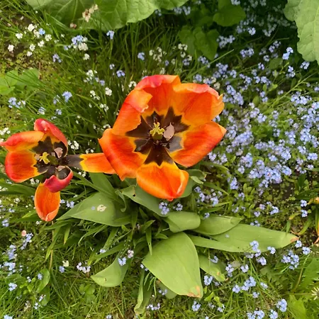 Fantastic Farm Villa Ebeltoft