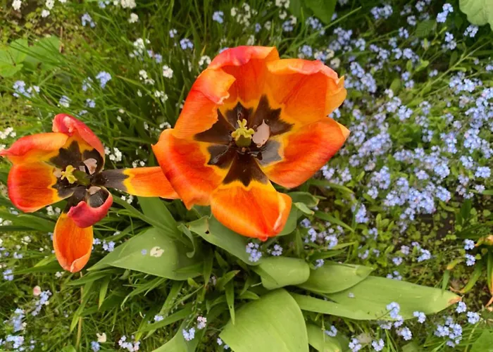 Fantastic Farm ヴィラ エーベルトフト